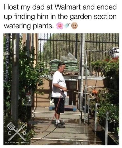 Classic Dad Moves Represented In These 31 Memes - CheezCake - Parenting | Relationships | Food | Lifestyle Gardening Memes, Meme Page, Fresh Memes, Cat Person, I Smile, Losing Me, Dankest Memes, Make Me Smile, I Laughed