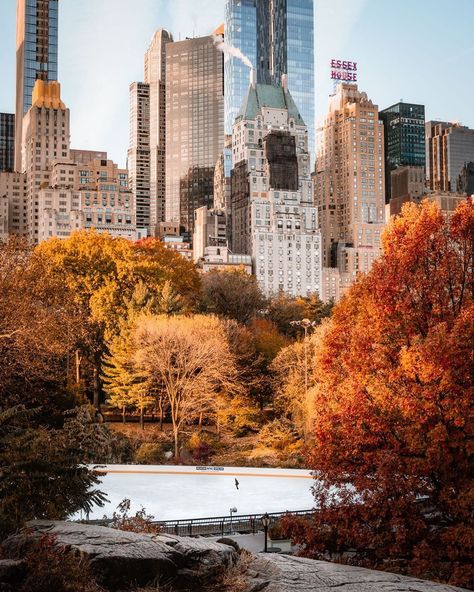 Good morning! Wishing you a happy Thursday, November 21st, 2019 from all of us at Viewing NYC! Here's what the weather looks like in the City right now. Nyc Fall, Autumn In New York, New York Aesthetic, New York Life, Fall Inspiration, Autumn Scenery, The Windy City, Belem, Dream City