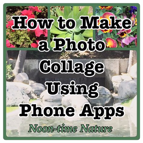 How to Make a Photo Collage Using Phone Apps #mobilephotography #digitalcollages #iphone #android #windowsphone How To Make A Collage Of Pictures On Phone, How To Make A Photo Collage On Iphone, Photograph Crafts, Make A Photo Collage, How To Make Photo, Using Phone, Family Photo Collages, Photography Diy, Photography Apps