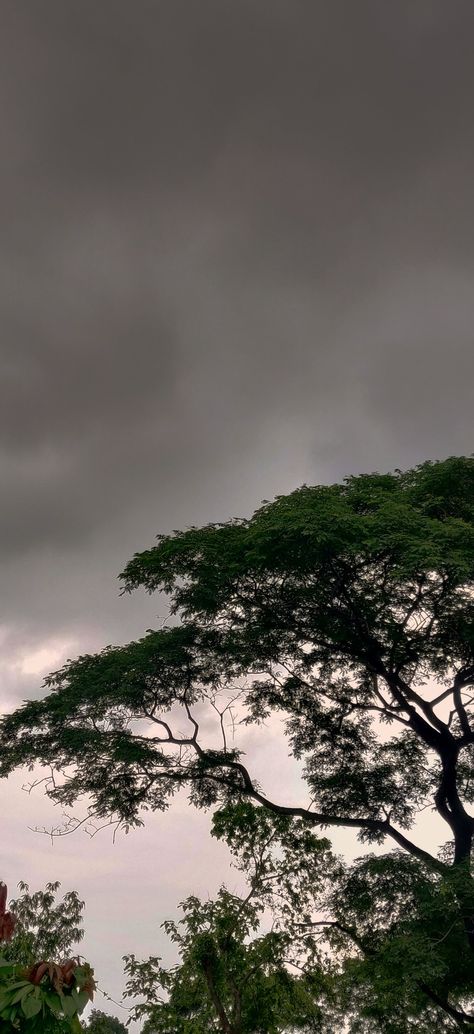 Rain Photography Nature Rainy Days, Rainy Nature Aesthetic, Dark Cloudy Sky Aesthetic, Rain Sky Aesthetic, Rain Nature Aesthetic, Day Sky Aesthetic, Walllllllpaper Aesthetic, Dark Nature Aesthetic Wallpaper, Rain Photography Nature