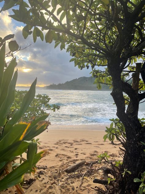 Vacation Asthetic Picture, Amber 311, Kauai Island, Waimea Bay, Hawaii Life, Pretty Landscapes, Dream Travel Destinations, Island Vibes, Wonderful World