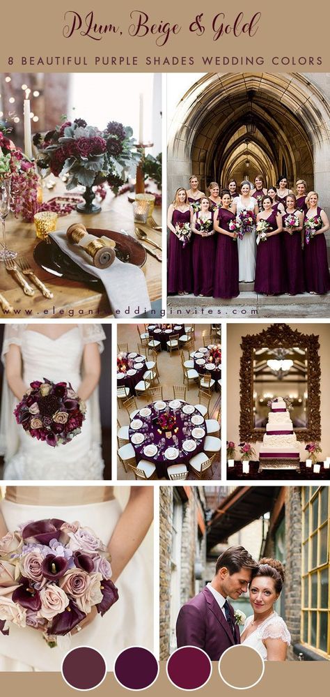 plum,beige and gold vintage wedding color inspiration #weddingcolors #ElegantWeddingInvites Champagne Purple Wedding, Plum Black And Gold Wedding, Deep Purple And Rose Gold Wedding, Plum White And Gold Wedding, Plum And Ivory Wedding, Plum Wedding Palette, Mulberry And Gold Wedding, Plum And Sage Green Wedding, Plum And Olive Wedding