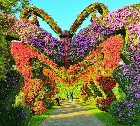 Stone Pathways Ideas Walkways, Boxwood And Hydrangea, Pool Concrete, Concrete Front Steps, Petunia Flowers, Butterfly Park, Million Flowers, Petunia Flower, Light Structure