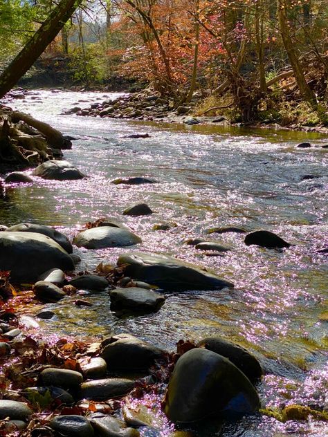 Tennessee Mountains Aesthetic, Georgia Mountains Aesthetic, East Tennessee Aesthetic, Gothic Appalachia, Tn Mountains, Smoky Mountains Photography, Smokie Mountains, Tennessee Aesthetic, Tennessee Mountains