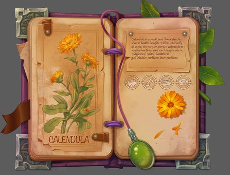 Herbalist's book on Behance Herbalist Journal, Ewolucje Eevee, Game Interface, Game Ui Design, Game Concept, Magic Book, Game Inspiration, Prop Design, Game Ui