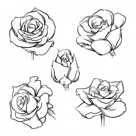 Rose Reference, Rose Outline, Cat Drawing Tutorial, Rose Sketch, Zestaw Ikon, Life Drawing Reference, Flower Drawing Tutorials, Flower Art Drawing, Rose Drawing