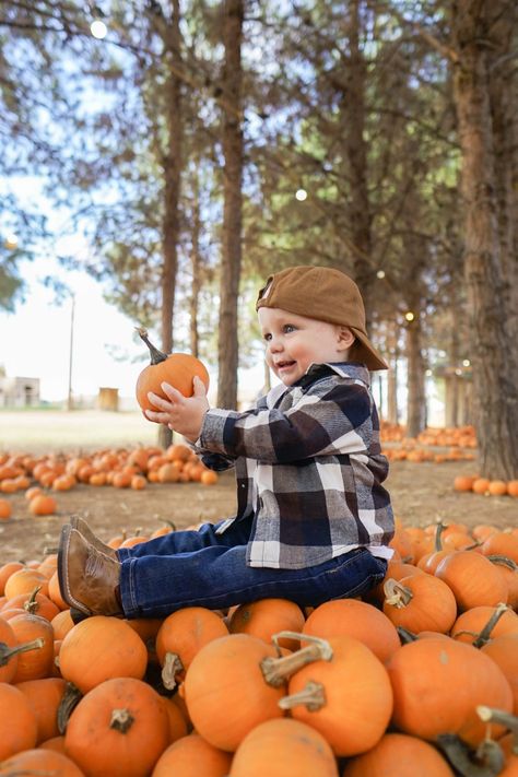 Sibling Pumpkin Patch Pictures, Fall Toddler Photoshoot Ideas, Pumpkin Patch Toddler Photoshoot, Pumpkin Patch Kids Photoshoot, Pumpkin Patch Photoshoot Kids, Pumpkin Patch Pictures Baby, Pumpkin Patch Instagram Pictures, Pumpkin Patch Picture Ideas, Pumpkin Patch Photoshoot Family