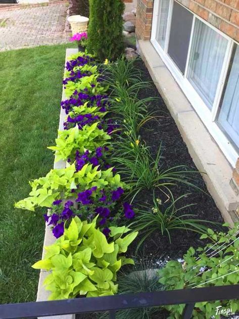 Under windows small flowers garden ideas. #gardens #gardening #gardenideas #gardeningtips #decorhomeideas Small Flower Gardens, Flower Bed Designs, نباتات منزلية, Desain Lanskap, Front Yard Design, Have Inspiration, Front Yard Garden, Landscaping Tips, Front Yard Landscaping Design