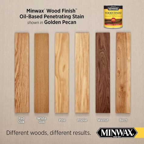 Minwax Wood Finish Oil-Based Golden Pecan Semi-Transparent Interior Stain (Half-Pint) in the Interior Stains department at Lowes.com Minwax Gel Stain, Unfinished Wood Furniture, Special Walnut Stain, Stain On Pine, Minwax Stain, Oil Based Stain, Floor Stain, Mahogany Stain, Wood Stain Colors