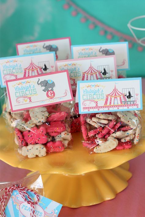 Dumbo Birthday Party, Carnival Baby Showers, Circus Birthday Party Theme, Animal Cracker, Carnival Birthday Party Theme, Circus Carnival Party, Circus Theme Party, Carnival Themed Party, Birthday Party Design