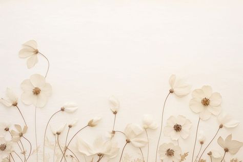 Real pressed white flowers backgrounds pattern petal. | free image by rawpixel.com / Wan Aesthetic Flowers Laptop Wallpaper, White Wallpaper For Laptop, Flowers Pc Wallpaper, Flowers Aesthetic Wallpaper Laptop, Anki Backgrounds, White Aesthetic Wallpaper Laptop, Linked In Banner Background, Background Laptop Aesthetic, Desktop Background Aesthetic