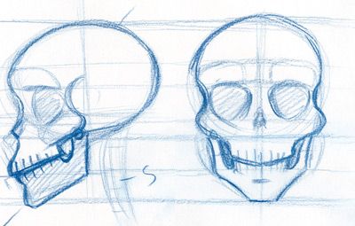 how to draw a skull Skull Simple, Skull Side View, Draw A Skull, Motorcycle Graphics, Drawing The Human Head, Skeleton Drawing, Side View Drawing, Skull Reference, Skull Sketch