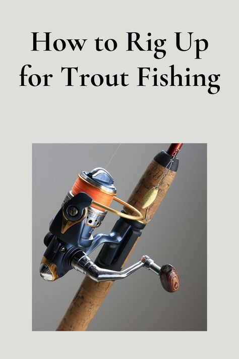 Trout fishing is a popular activity for many anglers. Let's learn how to rig up for trout fishing. However, rigging up correctly for this type of fishing can be challenging.  Different types of rigs can be used depending on the situation and the type of trout being targeted. Lake Trout Fishing, Trout Fishing Gear, Steelhead Fishing, Rainbow Trout Fishing, Trout Fishing Tips, Fishing 101, Fly Fishing Tips, Brook Trout, Fishing Rigs