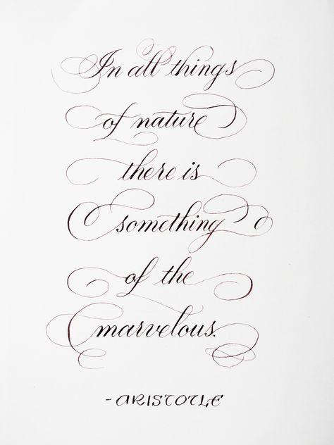 Flourishing Calligraphy Quotes, Flourish Calligraphy Quotes, Copperplate Calligraphy Flourishes, Flourishes Calligraphy Alphabet, Copperplate Calligraphy Quotes, I Calligraphy Letter, Flourishing Calligraphy Alphabet, Letter I Calligraphy, S Calligraphy Letter