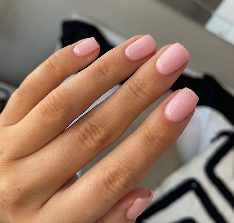 Light Pink Opaque Nails, Plain Coloured Nails, Solid Colour Nail Ideas, Medium Squoval Nails, Short Light Pink Nails, Solid Colour Nails, Color Trends 2024, Short Pink Nails, Soft Pink Nails