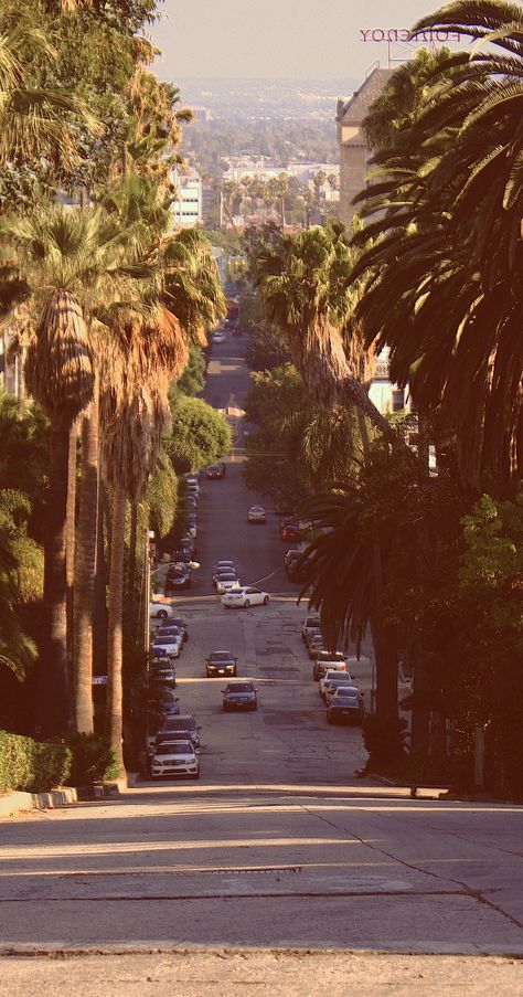 West Hollywood Aesthetic, West Coast Wallpaper, Los Angeles Streets, West America, West Coast Vibes, Afternoon Drive, Los Angeles Aesthetic, Burbank California, Los Angeles City