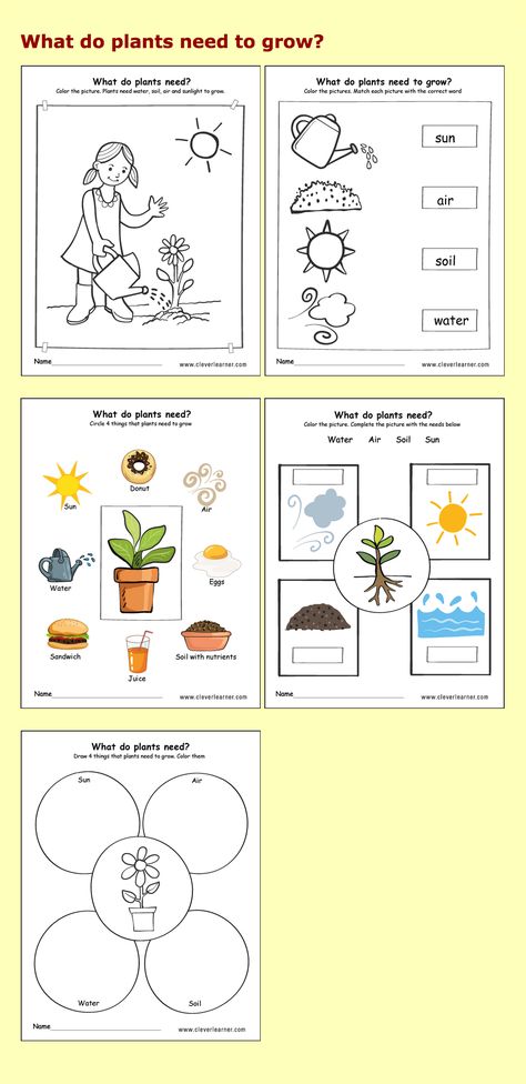 Needs of plants kindergarten worksheets #preschool #parenting #science #children Plant Unit Kindergarten, Plant Life Cycle Worksheet, Plants Kindergarten, Plant Lessons, Plants Worksheets, Kindergarten Units, Plant Activities, Plants Unit, Kindergarten Worksheets Printable