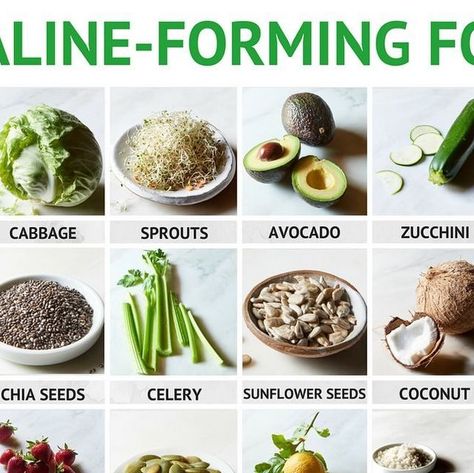 Tess Masters on Instagram: "Are you eating alkaline-forming foods to support better health? 
Our internal pH (the balance between acidity and alkalinity) plays a huge role in our health. Every physiological process yields acidic waste products. Then stress, drugs, and pollutants dump more acids into the mix. Our bodies keep a store of “alkaline buffer” minerals—sodium, calcium, manganese, copper, potassium, iron, and magnesium. These “buffer minerals” neutralize acids to maintain balance for better health. But, we have to help the process or disease sets in. Reduce your intake of added sugars (acid), animal foods, and other acid-forming foods. AndBut, it’s important to reduce your intake acidifying foods (particularly sugars) and increase your intake of alkaline-forming plant foods to top Sprouting Chia Seeds, Acid Forming Foods, Animal Foods, Coconut Chia, Food Info, Better Health, Plant Food, The Balance, Sunflower Seeds