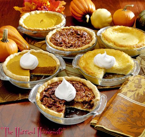 Thanksgiving Recipes Dessert Pies, Miniature Pies, Thanksgiving Recipes Dessert, Dessert Pies, Mini Pie Recipes, Recipe Thanksgiving, Small Batch Baking, Pies Maker, Coconut Custard