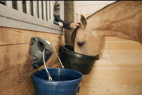 How Cascada Equine is checking all the boxes with their automatic watering system for your horse. Read the full article at theplaidhorse.com! Automatic Waterer, Horse Water, Automatic Watering System, Horse Magazine, Horse Stall, Watering System, Daily Activity, Water Bucket, Horse Stalls