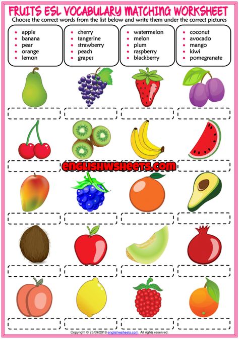 Fruits ESL Vocabulary Matching Exercise Worksheet For Kids Fruit Vocabulary English, Fruits Worksheets For Kids, Fruit Worksheet, Vocabulary For Kids, Teach English To Kids, English Grammar For Kids, Grammar For Kids, English Activities For Kids, Esl Vocabulary