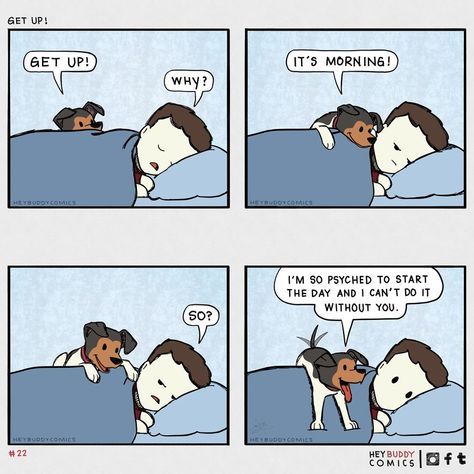 24 Comics About My Relationship With My Dog - The Good, The Bad, And The Oh So Sad Dog Comics, Anime Pictures, Wholesome Memes, Cute Comics, Memes Funny, Funny Comics, Shih Tzu, I Love Dogs, Dog Owners