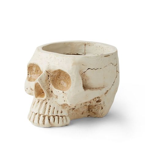 Get Spooky with the 4" Halloween Textured Skull Container by Place & TimeAdd a touch of Halloween horror to your home decor with the intricately designed Halloween Textured Skull Container by Place & Time This spooky container is perfect for holding candy, trinkets, or even as a standalone decoration The skull design is sure to give your guests a fright and create a spine - chilling atmospherePair this container with cutouts shaped like spiders or black candles to create a haunting display in your foyer or living room The possibilities are endless with this versatile Halloween decorationProduct Details Brand: Place & Time Dimensions: 488 x 63 x 425 inches Content: 55% Polyresin & 45% Stone Powder Halloween Crafts Ideas, Party Ideas Halloween, Halloween Decoration Ideas, Halloween Front Porch Decor, Skeleton Decorations, Halloween Porch Decorations, Halloween Front Porch, Fabric Wreath, Halloween Outdoor