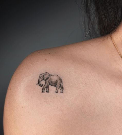 Micro-realistic style elephant tattoo on the front shoulder Elephant Tattoo Design For Women, Small Elephant Tattoos, Little Elephant Tattoos, Realistic Elephant Tattoo, Simple Elephant Tattoo, Elephant Tattoo Ideas, Cute Elephant Tattoo, Casino Tattoo, Small Dragon Tattoos