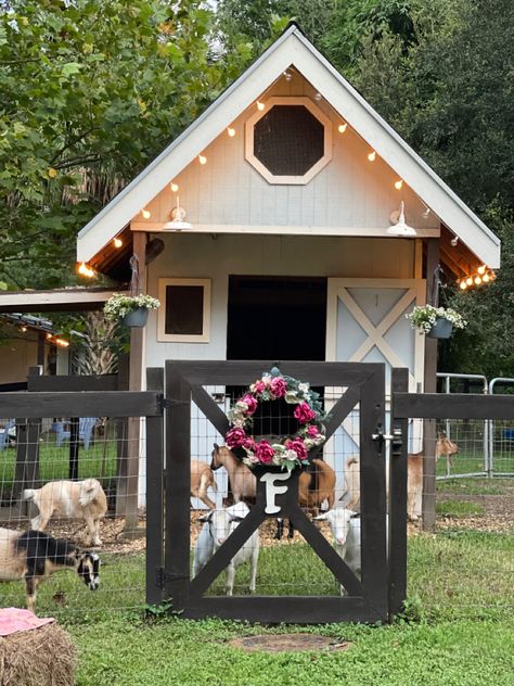 Goat Playground, Greenhouse Venue, Goat Pen, Goat Shelter, Small Goat, Mini Goats, Cute Chicken Coops, Chicken Coop Garden, Goat House