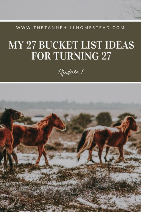 Catching up on the progress of 27 things to do while I am 27, because the only way to make it through is to share the progress thus far! Let's do this! Birthday Bucket List Ideas, 613 Braids, Birthday Bucket List, My 27th Birthday, Birthday 27, Best Year Yet, Bucket List Ideas, 28th Birthday, 27th Birthday