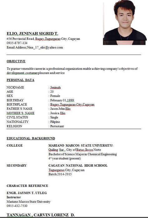 Example Of Resume, Examples Of Resumes, Simple Resume Examples, Resume Form, First Job Resume, Basic Resume Examples, Simple Resume Format, Job Resume Format, Environment Logo