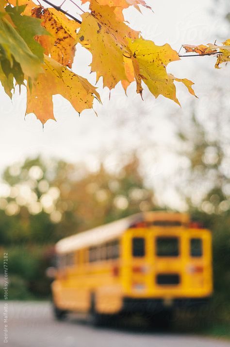 September Days, School Nostalgia, September School, Hello January, Yellow School Bus, Yellow Autumn, Golden Autumn, Autumn Days, Autumn Beauty