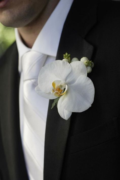 Orchid For Wedding, Wedding Decorations Orchid, Orchids For Wedding, Orchid Wedding Florals, Wedding Orchids Decoration, Orchid Flower Bouquet Wedding, White Orchid Bouquet Wedding, Cascading Orchid Wedding Bouquet, Small Orchid Bouquet