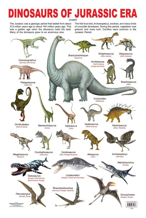 Evolution Of Dinosaurs, Triassic Period Dinosaurs, Scientifically Accurate Dinosaurs, Dino Facts, Dinosaur Information, Types Of Dinosaurs, Dinosaur Types, Prehistoric Animals Dinosaurs, Dinosaur Poster