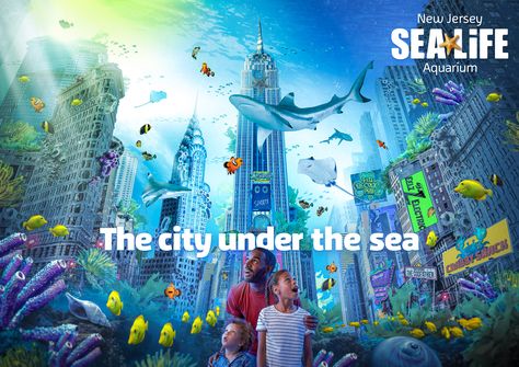 Sealife Aquarium, City Under The Sea, Sea Life Aquarium, New York Landmarks, Dreamworks Trolls, Job Fair, Photo Report, Rock Pools, Ocean Creatures