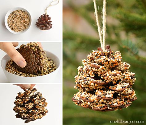 Bird Feeders For Kids To Make, One Little Project, Juleverksted For Barn, Pine Cone Bird Feeder, Bird Feeder Craft, Bird Seed Ornaments, Homemade Bird Feeders, Diy Bird Feeder, Cones Crafts