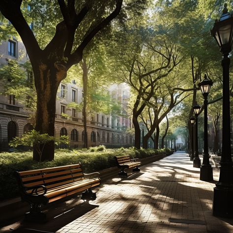 Stroll through an urban area where classic architecture meets tree-lined streets and inviting benches. The perfect fusion of nature and history within the heart of the city. City Trees Street, City Park Aesthetic, Street Bench, Park Architecture, Urban Project, Walkable Community, Tree Lined Street, Landscape And Urbanism Architecture, City Tree