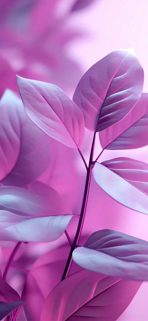 Pink Hd Wallpaper, Christmas Screen Savers, Iphone Wallpaper Ocean, Wallpaper Leaves, Android Wallpaper Black, Wallpaper Light, Xiaomi Wallpapers, Artsy Background, Queens Wallpaper