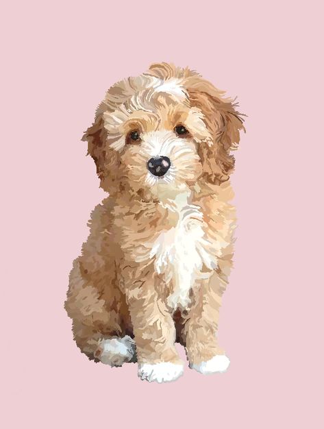 Dog Procreate Art, Maltipoo Painting, Cavapoo Drawing, Cockapoo Art, Procreate Dog, Dog Painting Pop Art, Cavoodle Dog, Poodle Drawing, Yorkie Poodle