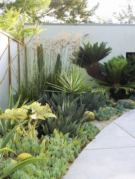 Natural Backyard Landscaping Ideas Save Money Creating Wildlife Friendly Garden Designs Low Water Landscaping, Lots Of Plants, Succulent Landscape Design, Contemporary Garden Design, Drought Tolerant Garden, Succulent Landscaping, Dry Garden, Desert Garden, Landscape Designs