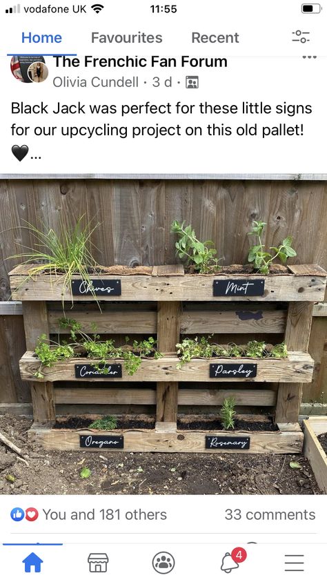 Literacy Garden Ideas, Outside Areas Eyfs, Eyfs Outdoor Area Pallets, Ks2 Outdoor Learning, Small Outdoor Classroom, Forest School Area Outdoor Classroom, School Allotment Ideas, Eyfs Forest School, Forest School Area Ideas