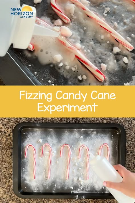 Candy Cane Melting Experiment, Candy Came Christmas Ideas, Fizzy Candy Cane Experiment, Candy Cane Dissolving Experiment, Fizzing Candy Cane Experiment, After Christmas Activities For Kids, Candy Cane Process Art, Christmas Week Activities For Kids, Easy Christmas Science Experiments For Kids