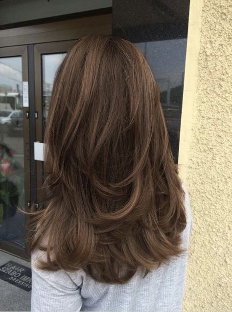 Mid Length Hair With Layers Brown, Hair Cut 2024 Girl, Hair Cut Style For Girls 2023, U Shape Layered Haircut, Layers Back Of Hair, Brown Hair Butterfly Cut, Butterfly Haircut Brown Hair, Layered Hair 360, Viviane Audi Hair