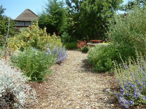 Mulched Pathway Mulch Pathway Ideas, Mulch Pathway, Pathways Ideas Walkways, Pathway Lighting Ideas, Landscaping Pathways, Garden Remodel, Lighting Pathway, Outdoor Hosting, Pathway Ideas