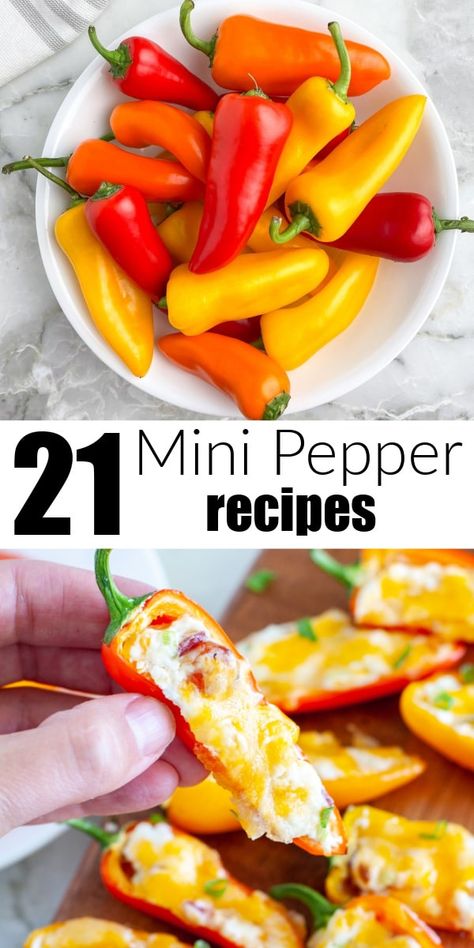 Mini Sweet Pepper Recipes, Mini Pepper Recipes, Stuffed Peppers Appetizer, Mini Peppers Recipes, Pepper Recipes Healthy, Sweet Pepper Recipes, Mini Peppers, Stuffed Peppers Healthy, Pepper Recipes