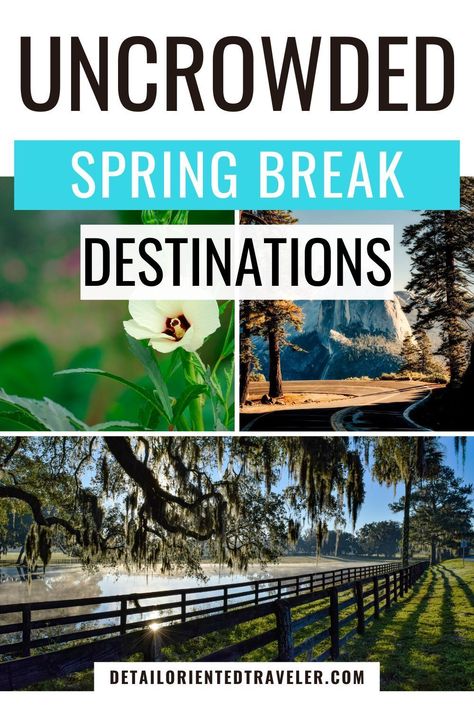 These quiet spring break destinations for families are all in the United States, making it easy for you to fly or drive. These spring break ideas are all family-friendly, mostly avoid the crowds, and are a mix of warmth, adventure, outdoor activities, or skiing. Spring Break Dinner Ideas, Spring Break Kids Family Trips, Spring Break Places To Go, Texas Spring Break With Kids, Things To Do For Spring Break, Midwest Spring Break Trips, Spring Break In Texas, Spring Break Ideas For Teens, Spring Break Destinations Usa