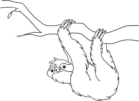 Printable Sloth coloring pages Rainforest Crafts, Jungle Coloring Pages, Forest Coloring Pages, Jaguar Animal, Sloth Art, Rainforest Animals, Colouring Printables, Animal Coloring, Guided Drawing