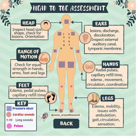 Cardiovascular Assessment Nursing, Full Body Assessment Nursing, Head To Toe Assessment Cheat Sheet, Head To Toe Assessment Nursing, Health Assessment Nursing, Med Surge, Neurological Assessment, Health Background, Nursing School Studying Cheat Sheets