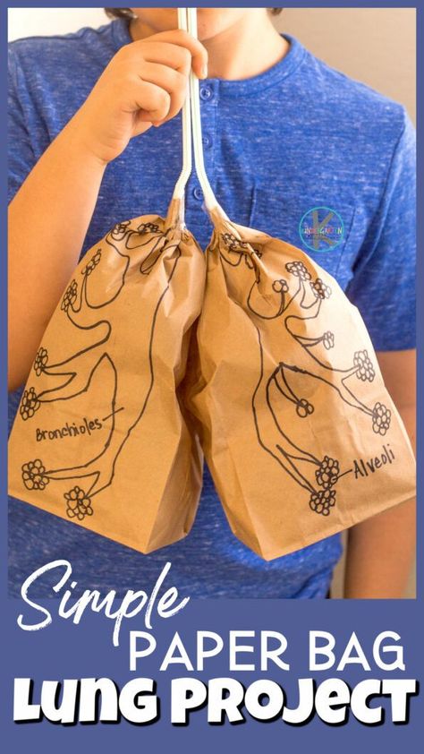 Photo of a simple paper bag lung project. Kid in a blue t-shirt holding two straws that have two inflated paperbag with the parts of the lungs drawn on them. The straws are up to his mouth and the paper bag are in front of his chest. Digestion Project, Digestive System For Kids, Human Body Crafts, Human Body Science Projects, Body Systems Project, Human Body Muscles, Human Body Printables, Human Body Worksheets, Human Body Projects