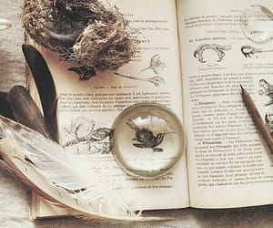 Zoology Aesthetic, Aesthetic Harry Potter, Michel De Montaigne, Witch Aesthetic, Zoology, Fantastic Beasts, Natural History, Pressed Flowers, Stars And Moon